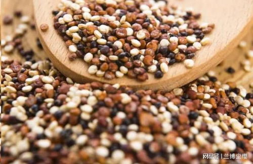 深秋養(yǎng)生指南 建議老人多吃6類種子食物，營養(yǎng)豐富又實(shí)惠，安度秋冬