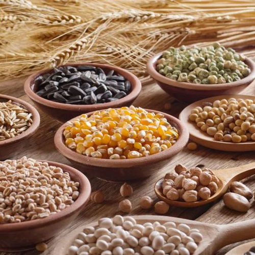 完美產品帶你揭秘藏在膳食纖維里的秘密——棉花種植篇